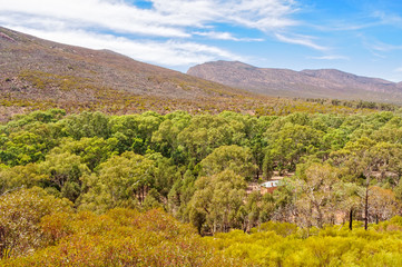 Fototapeta na wymiar View from above Hills Homestead in the Flinders Ranges - Wilpena Pound, SA, Australia