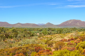 Fototapeta na wymiar View of Wilpena Pound Range from the Wangara Lookout track in the Flinders Ranges - Wilpena Pound, SA, Australia