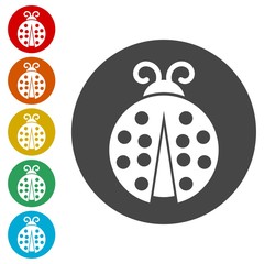 Ladybug icons set in flat style 