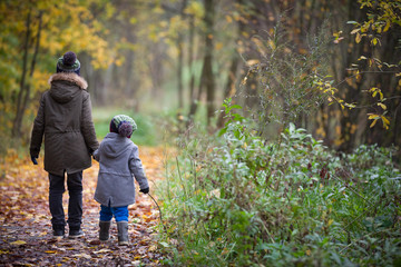 Back view on two children walking in the autumn park.. Brothers. Toddler and kid boys enjoying walk...