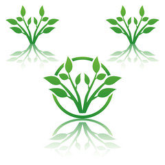 Abstract vector tree emblem. Eco lifestyle concept illustration.