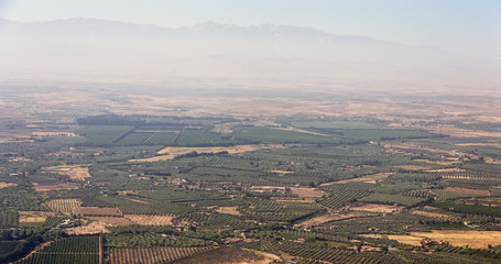 Olive groves and orchards from the area around Marrakech, Morocco.