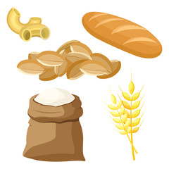 Thematic set of food products from wheat and flour. Vector illustration.