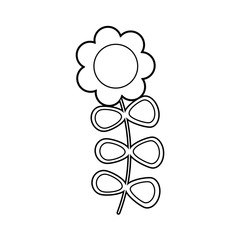 cute flower isolated icon vector illustration design