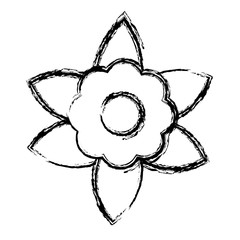 beautiful flower icon over white background vector illustration