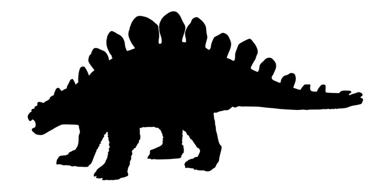 Vector silhouette of a stegosaurus dinosaurus.