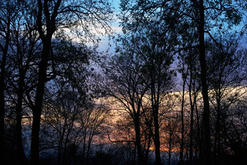 Fototapeta na wymiar Sunset in winter