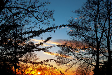 Obraz premium Sunset in winter