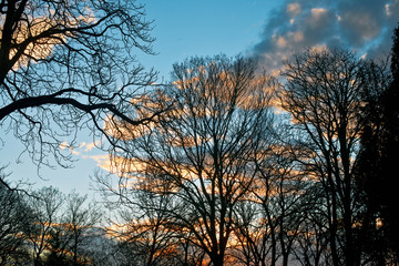 Fototapeta na wymiar Sunset in winter