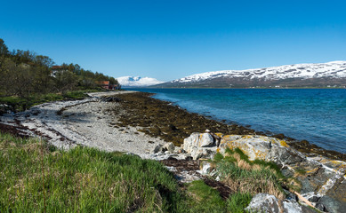 Coast of the Norwegian Sea