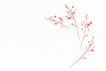 Autumn composition. Frame made of autumn red flowers. Flat lay, top view, copy space