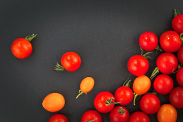 Fresh Organic Tomatoes from the garden on black background