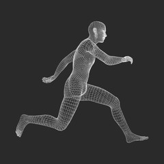 Fototapeta premium 3d Running Man. Human Body Wire Model. Sport Symbol. Low-poly Man in Motion. Vector Geometric Illustration.