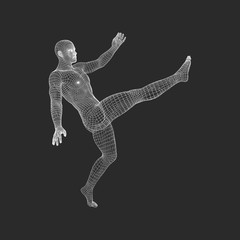 Football player. Sports concept. 3D Model of Man. Human Body. Sport Symbol. Design Element. Vector Illustration..
