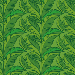 Seamless Floral Pattern, Leaves Exotic Plants, Contours on Tile Green Background. Vector
