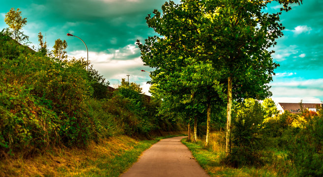 Sky, trees, nature and asphalt road