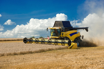 Fototapeta premium Combine harvester at the grain harvest - 9876
