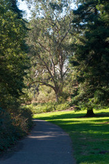 Golden Gate Park in San Francisco at sunny day in autumn