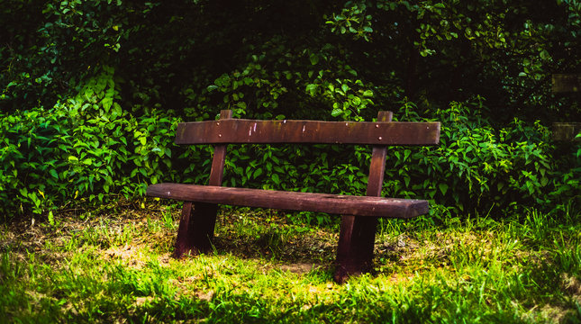 Seat seating in public park and forest