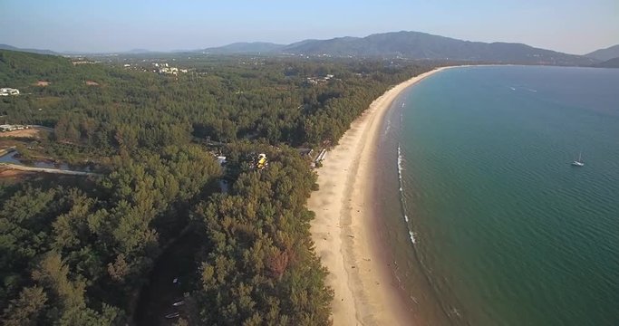 Pine Trees At The Top Of Layan And Bangtao Beach, Phuket, Thailand, Descending Aerial Shot
