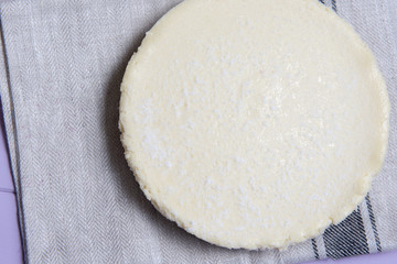 Plain vanilla cheesecake with copy space 