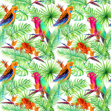 Jungle parrots, exotic plants - palm, monstera, flowers. Repeating pattern. Aquarelle