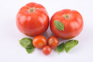 Natürlich angebaute Bio Tomaten mit Basilikum auf weisem Hintergrund
