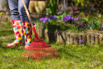 Garden cleaning.