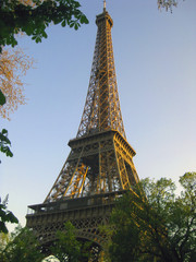 Fototapeta na wymiar Tour Eiffel