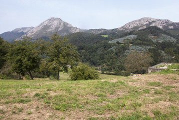 Naklejka premium Paisaje de montaña Cantábrica