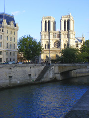 Fototapeta na wymiar Notre Dame de Paris 