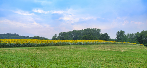 Country road near Vigolo Marchese (Piacenza, Italy)