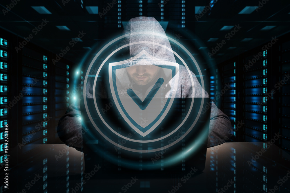 Leinwandbilder Hacker accessing to personal data information with a computer 3D rendering