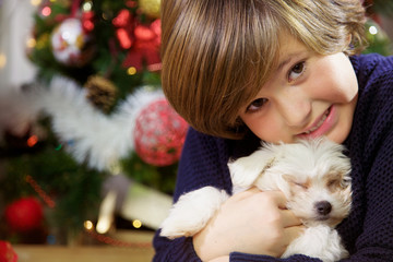 boy holding little puppy dog smiling in front of Christmas tree closeup