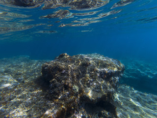 underwater view