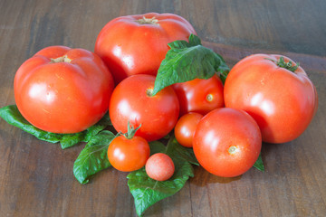 Mehrere unterschiedlich große Tomaten mit Basilikum auf Holzbrett im Tageslicht
