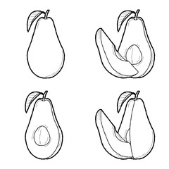 Avocado Vector Fruit Cartoon Art