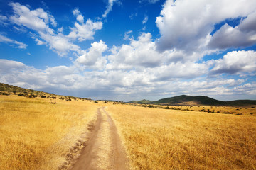 Fototapeta na wymiar Beautiful cloudscape over arid African savannah