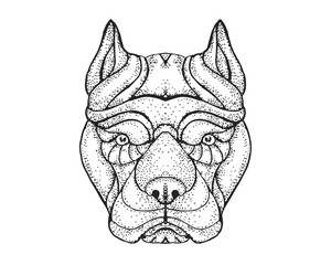 Detail Dotted Style Hand Drawing Dog Illustration - Pitbull