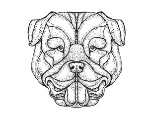 Detail Dotted Style Hand Drawing Dog Illustration - Rottweiler