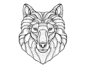 Detail Dotted Style Hand Drawing Dog Illustration - Collie 
