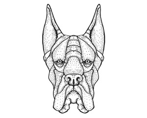 Detail Dotted Style Hand Drawing Dog Illustration - Great Dane 