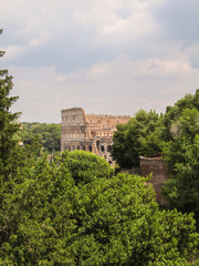 Fototapeta na wymiar A part of the Coliseum viewed among trees - Rome, Italy