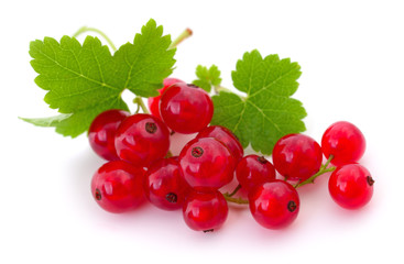 Red currants isolated.