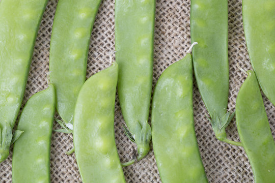 Snap peas, also known as sugar snap peas, The snap pea is a cool season legume or fruit. healthy , organic food
