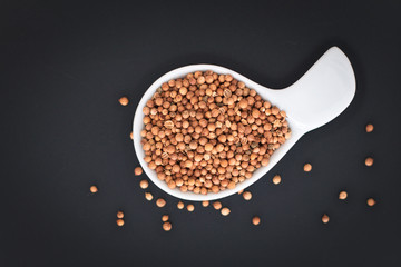 Aroma Spice Coriander seeds on black back ground with copy space