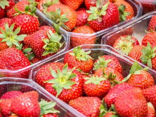 Erdbeeren auf dem Markt