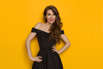 Smiling Young Beautiful Elegant Woman In Black Dress