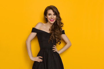 Fototapeta premium Smiling Young Beautiful Elegant Woman In Black Dress