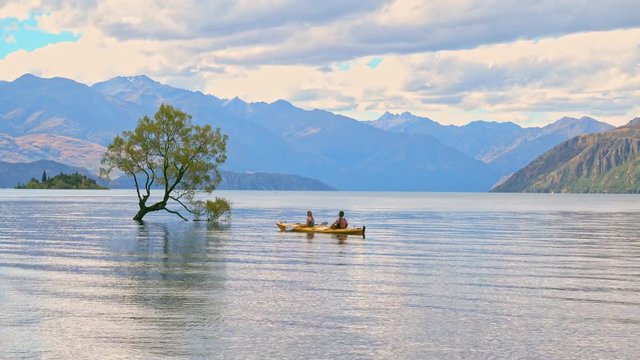 Wanaka Tree, Lake Wanaka at sunrise, New Zealand